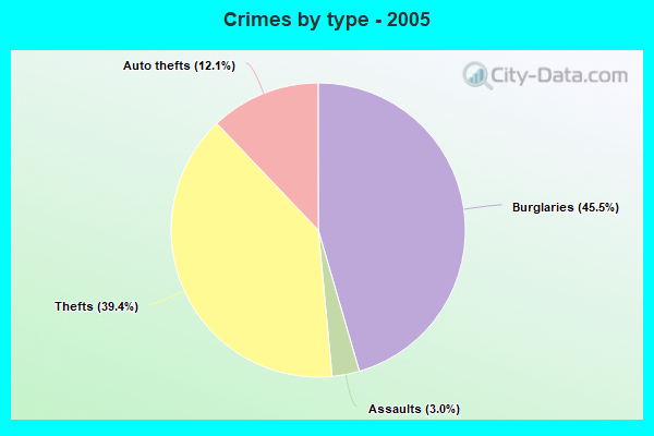 Crimes by type - 2005