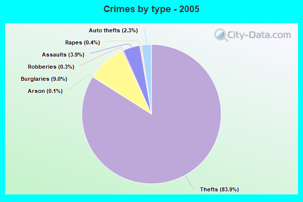 Crimes by type - 2005