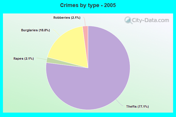 Crimes by type - 2005