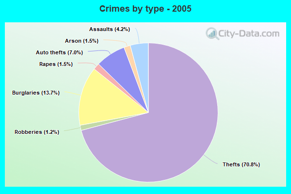 Crimes by type - 2005