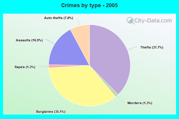 Crimes by type - 2005