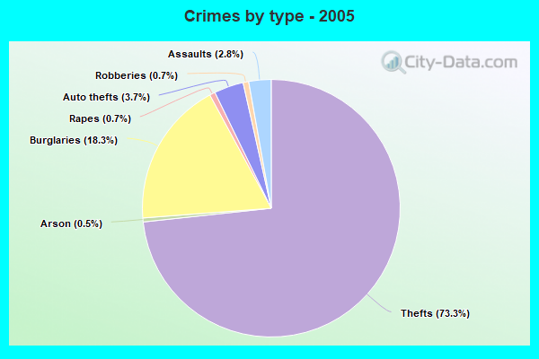 Crimes by type - 2005