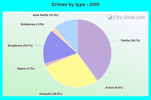 Crimes by type - 2005