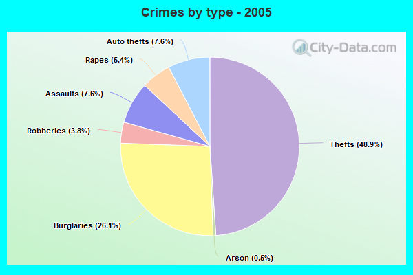 Crimes by type - 2005