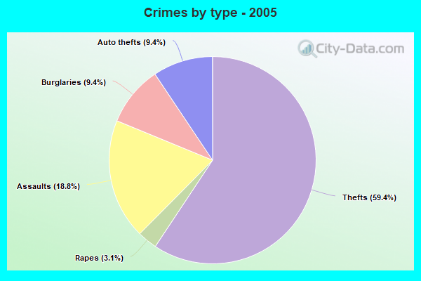 Crimes by type - 2005