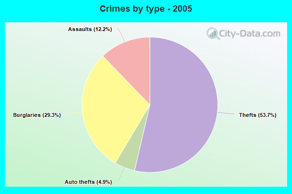 Crimes by type - 2005