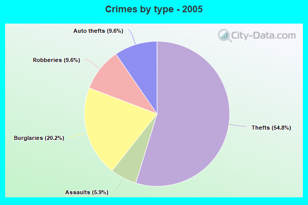 Crimes by type - 2005