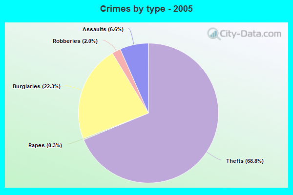 Crimes by type - 2005