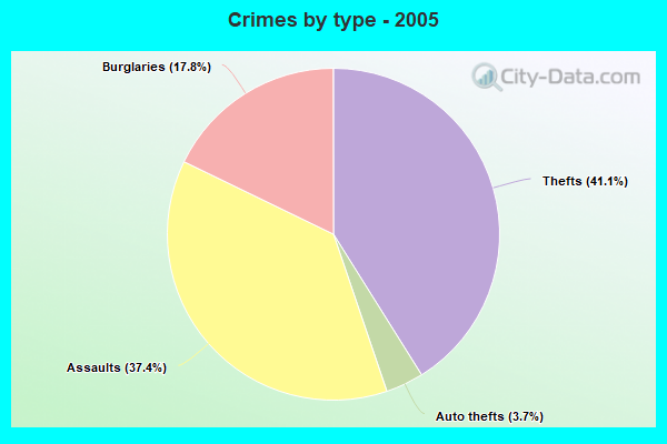 Crimes by type - 2005