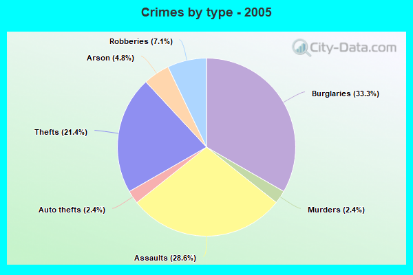 Crimes by type - 2005