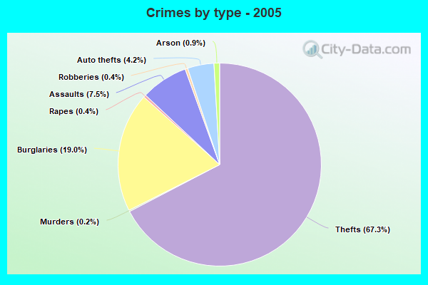 Crimes by type - 2005