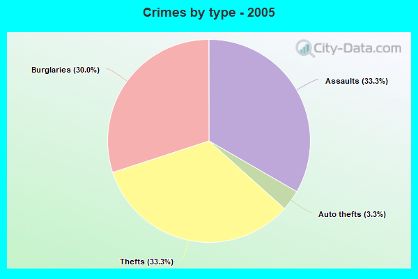 Crimes by type - 2005