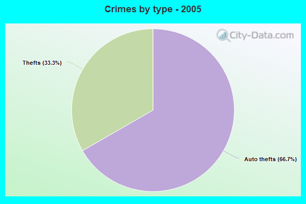 Crimes by type - 2005