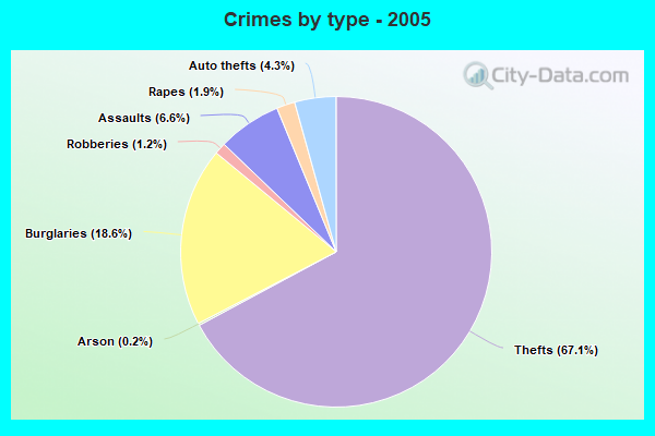 Crimes by type - 2005