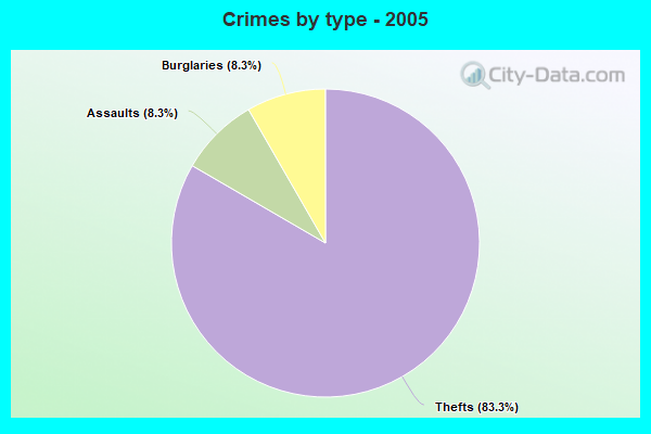 Crimes by type - 2005