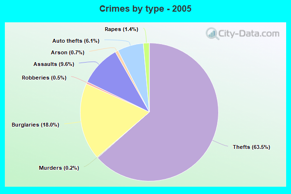 Crimes by type - 2005