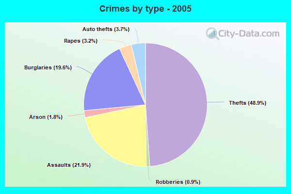 Crimes by type - 2005