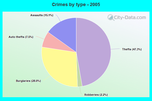 Crimes by type - 2005