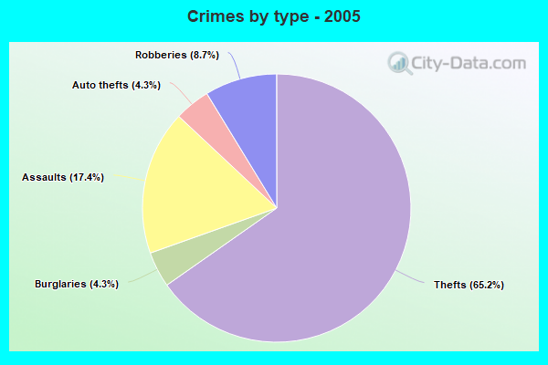 Crimes by type - 2005