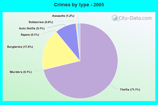 Crimes by type - 2005