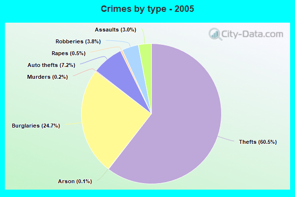 Crimes by type - 2005