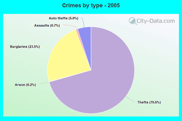 Crimes by type - 2005