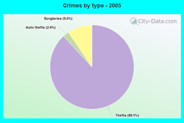 Crimes by type - 2005