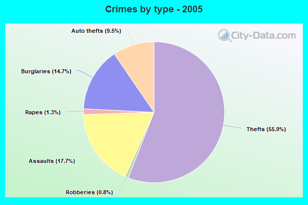 Crimes by type - 2005