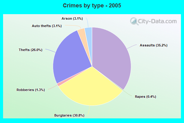 Crimes by type - 2005