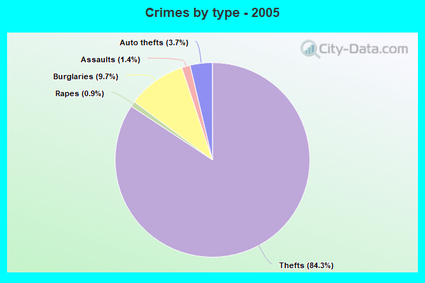 Crimes by type - 2005