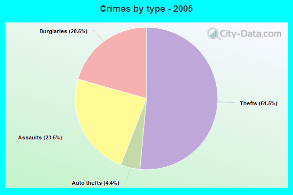 Crimes by type - 2005