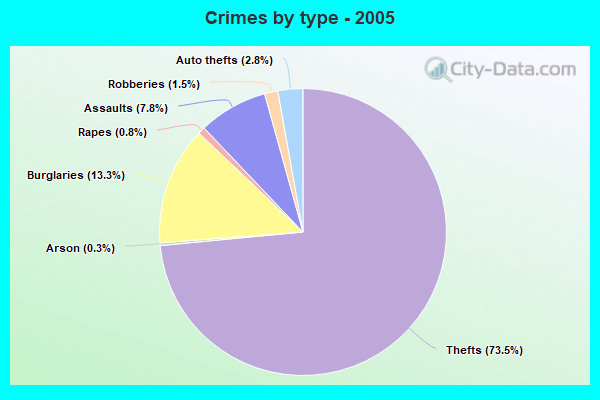 Crimes by type - 2005