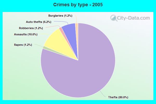 Crimes by type - 2005