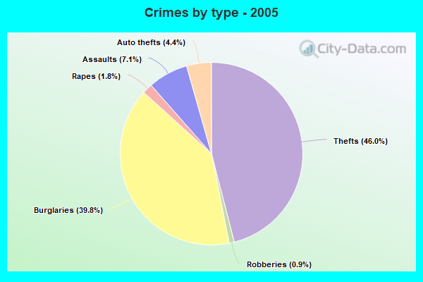 Crimes by type - 2005