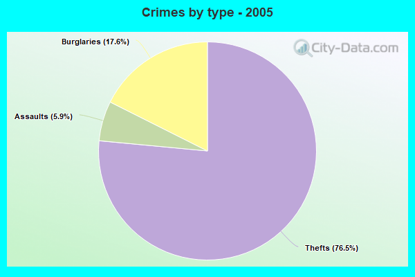 Crimes by type - 2005