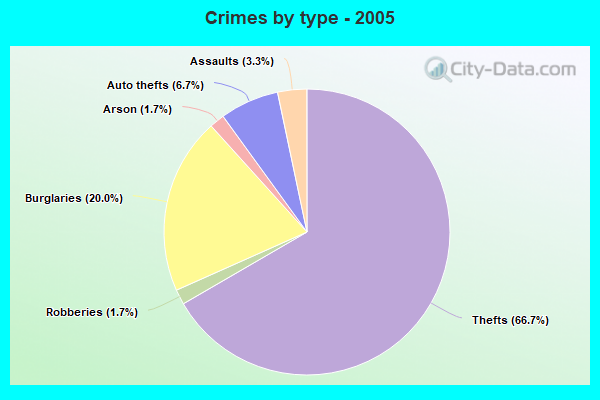 Crimes by type - 2005