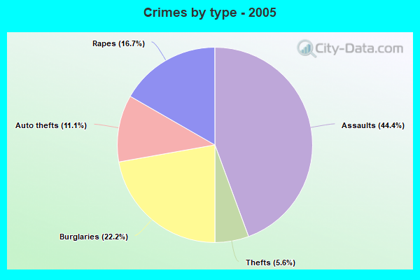 Crimes by type - 2005