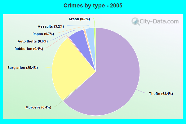 Crimes by type - 2005