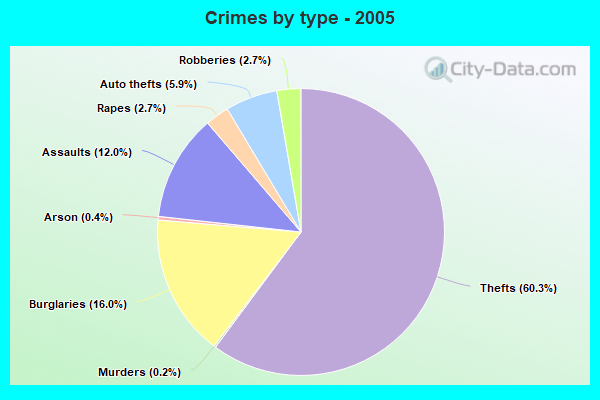 Crimes by type - 2005