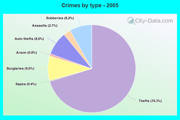 Crimes by type - 2005