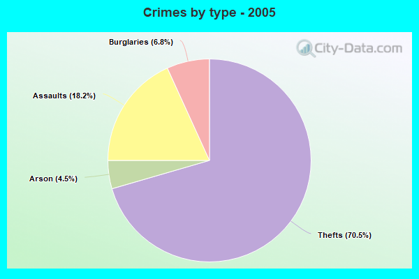 Crimes by type - 2005