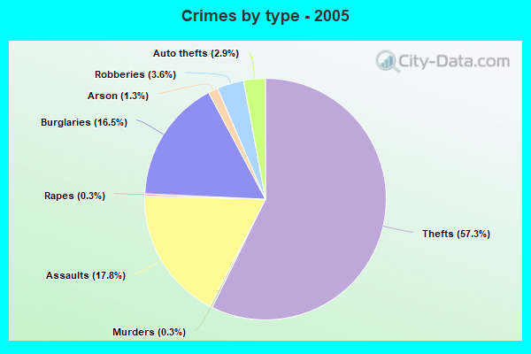 Crimes by type - 2005