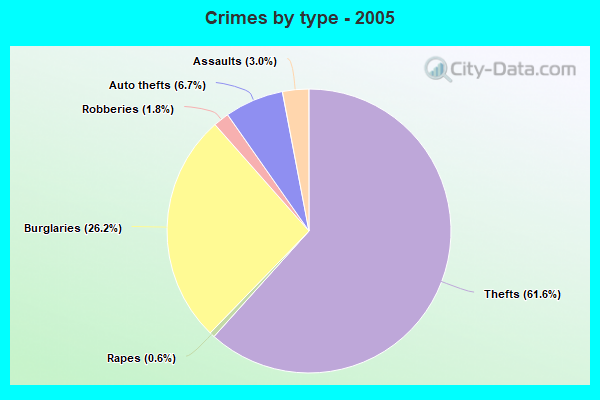 Crimes by type - 2005