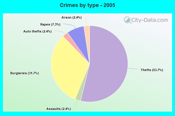 Crimes by type - 2005