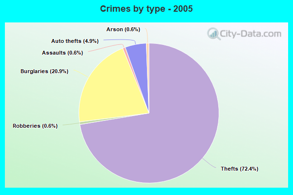 Crimes by type - 2005