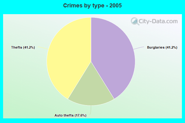 Crimes by type - 2005