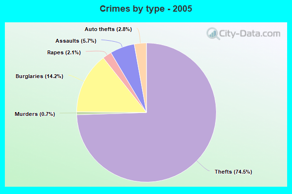 Crimes by type - 2005