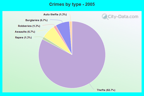 Crimes by type - 2005