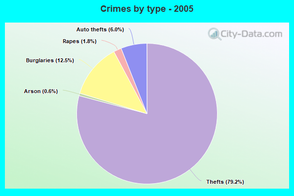 Crimes by type - 2005