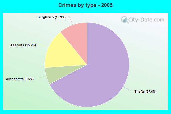 Crimes by type - 2005